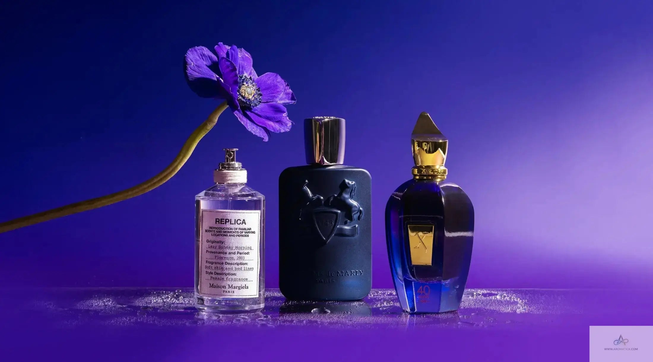 From-Luxury-to-Niche-The-Ultimate-Guide-to-Women-s-Perfumes Aromatick