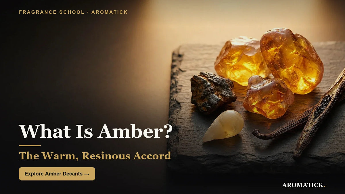 Amber accord — labdanum, benzoin and vanilla, the warm resinous accord, Aromatick guide