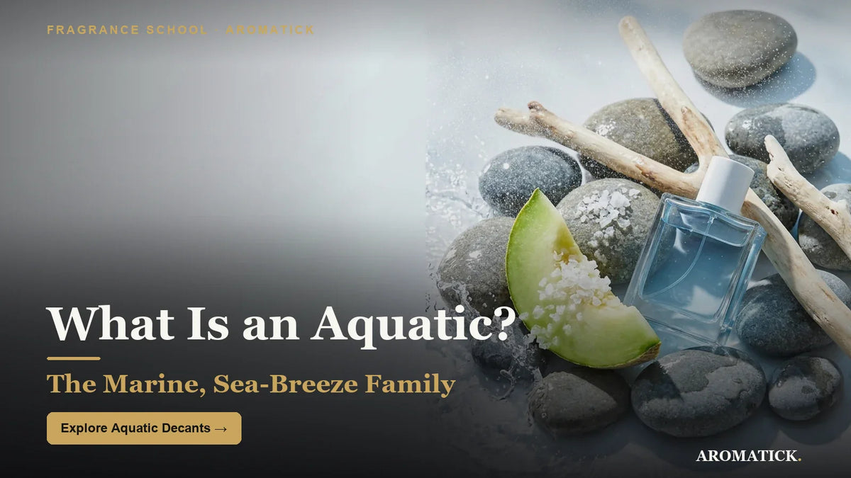 Aquatic marine fragrance family — sea, driftwood and melon, Aromatick guide