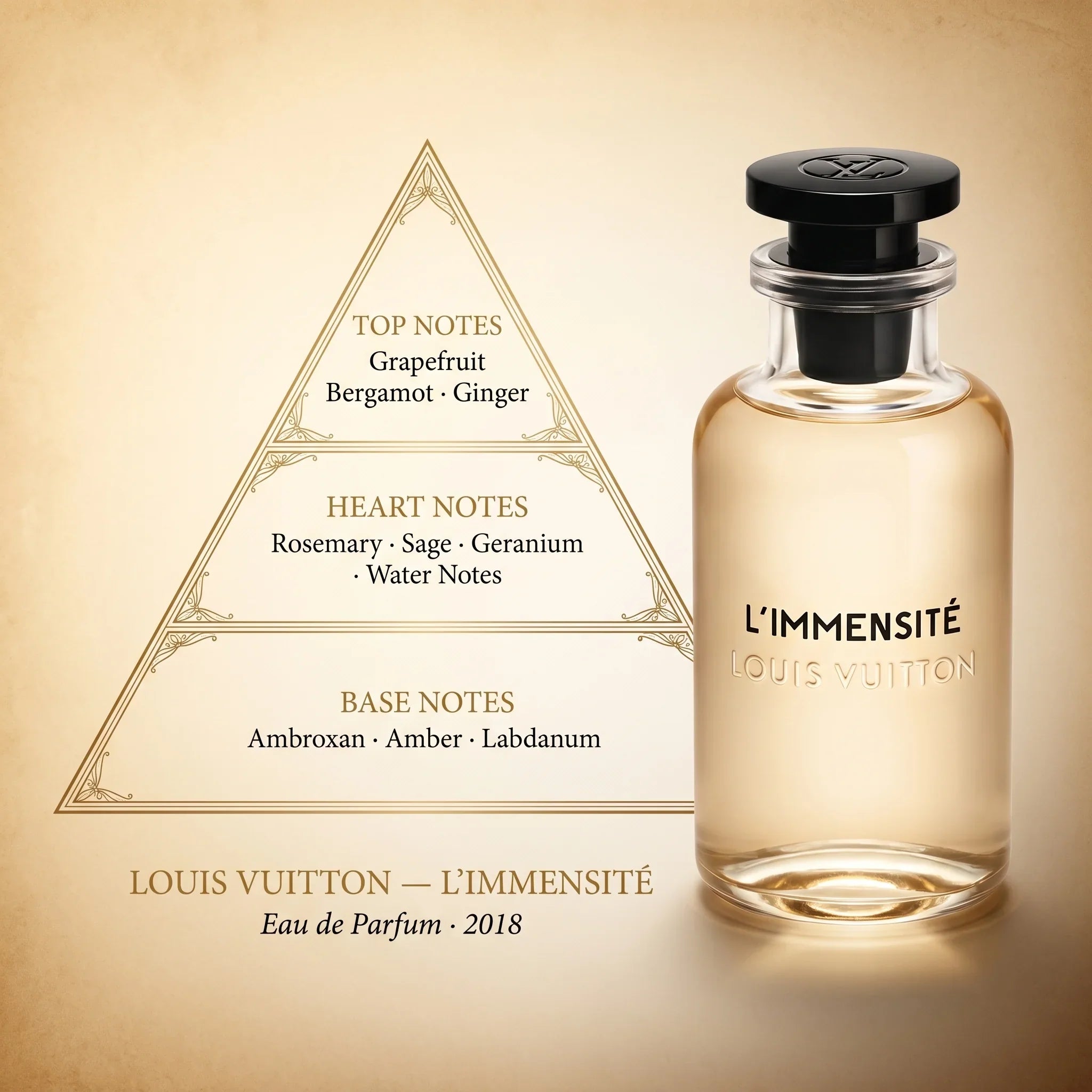Louis Vuitton L'Immensité fragrance note pyramid grapefruit bergamot ginger rosemary sage geranium water notes ambroxan amber labdanum on champagne amber background
