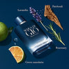 Armani Acqua di Gio Profondo Men's EDP 125ml