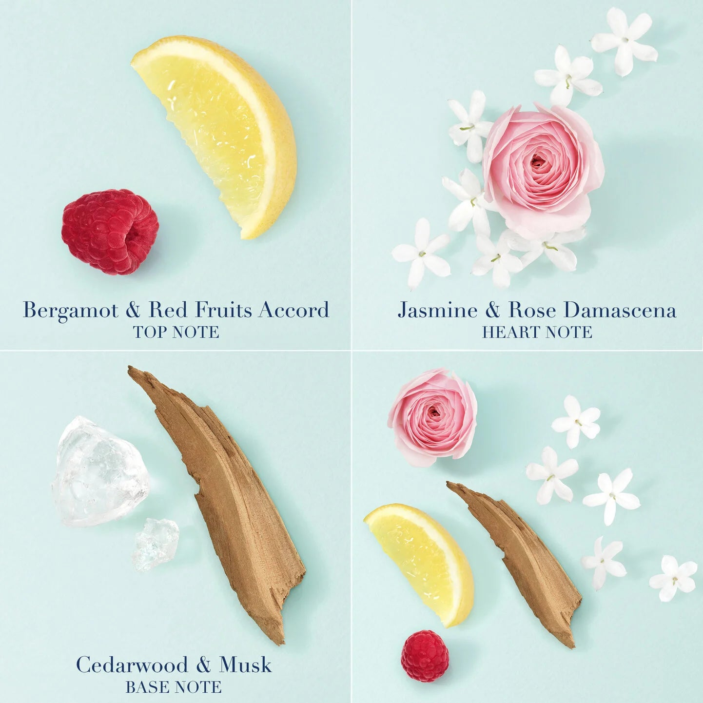 Four quadrants showing ingredients for a fragrance with text labels on a light blue background.