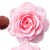 PDM Delina La Rosée EDP | Litchi, Rose Water & Peony Women's