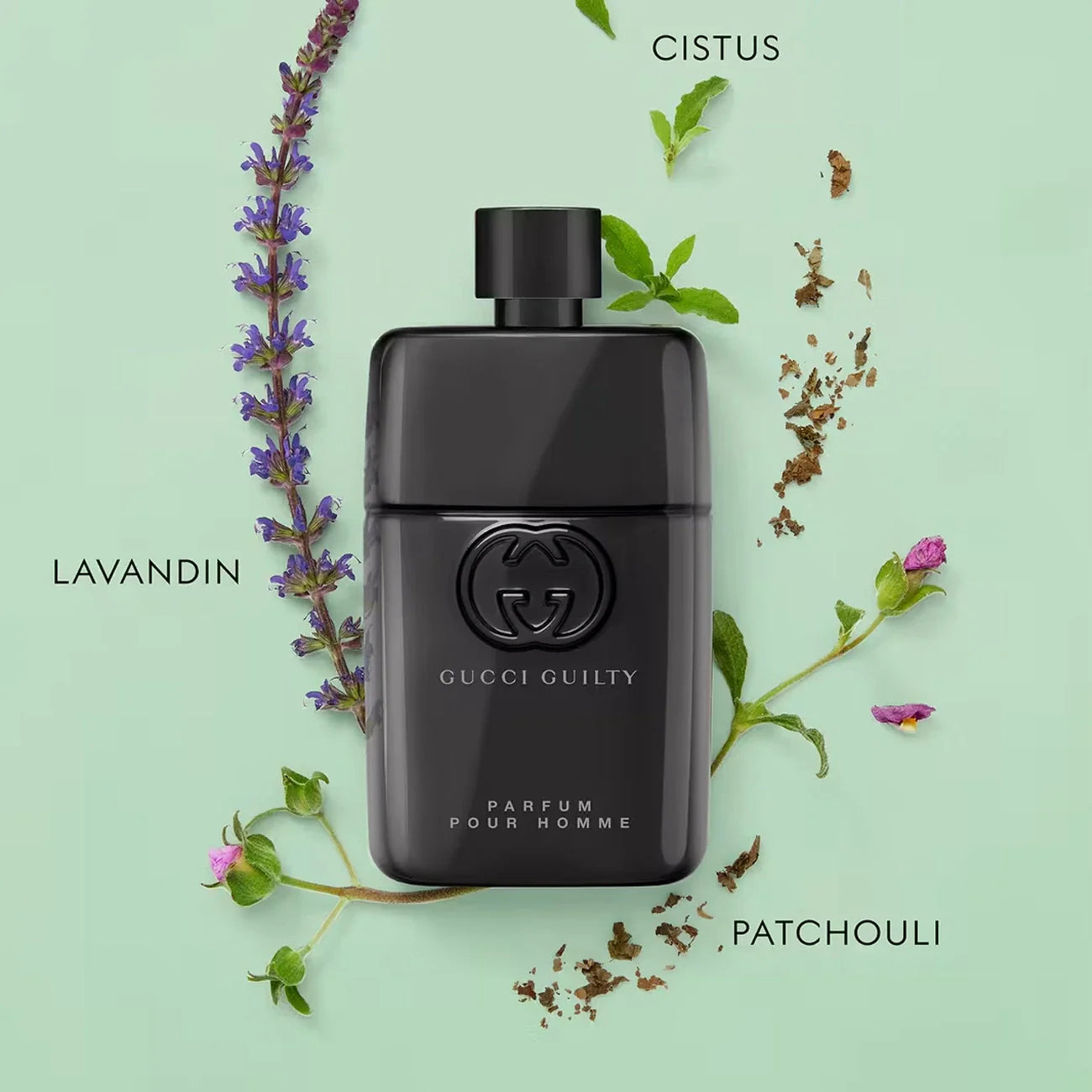 Black Gucci perfume bottle surrounded by floral elements on a light green background