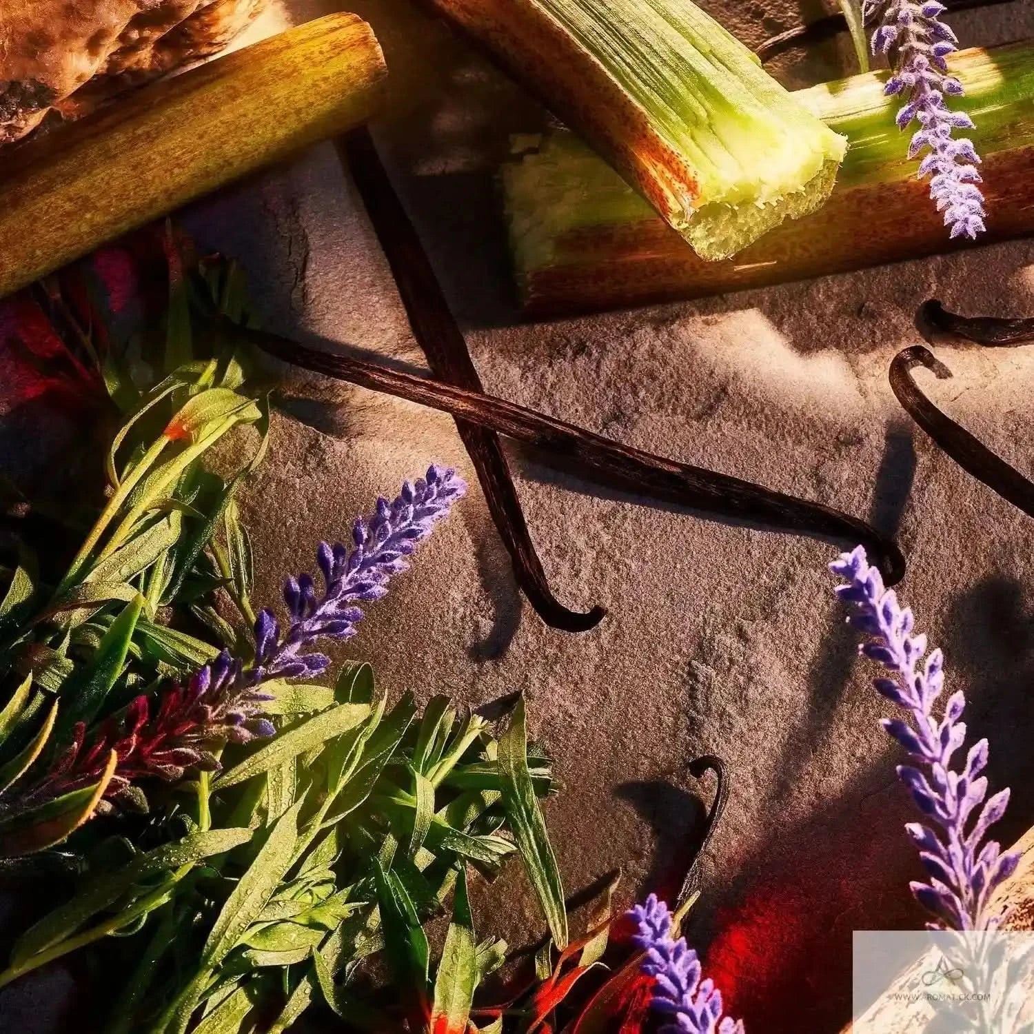 Roja Danger Parfum | Gardenia, Jasmine & Vanilla Women's - Aromatick