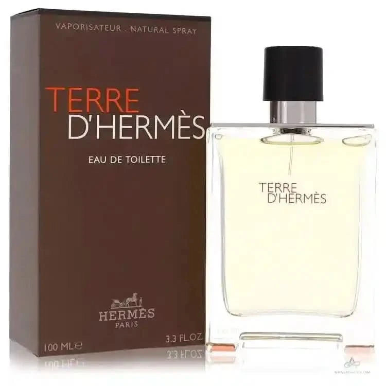 Terre D'Hermes by Hermes Eau De Toilette Spray 3.4 oz (Men) - Aromatick