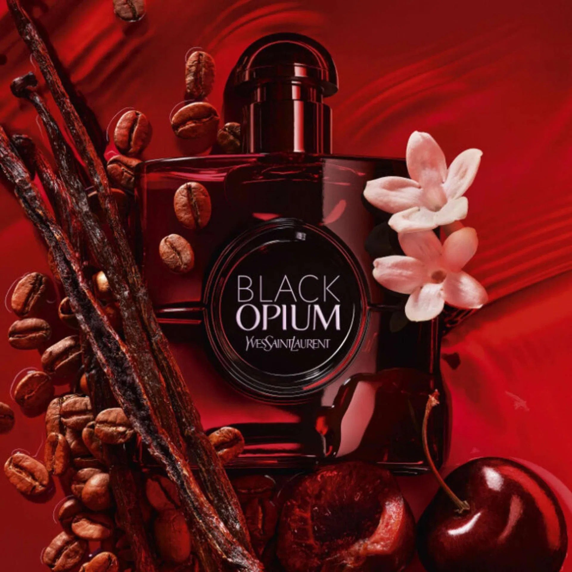 Yves Saint Laurent Black Opium perfume bottle with coffee beans, flowers, and vanilla on a red background