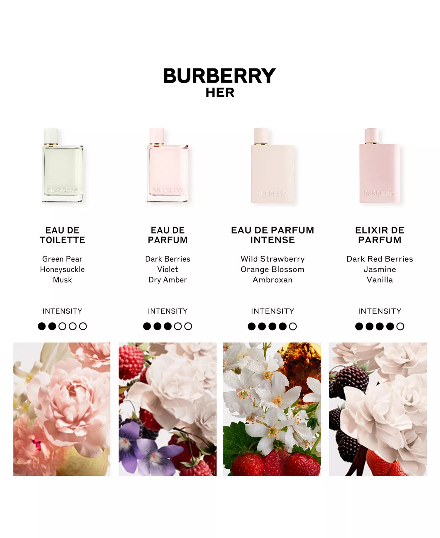 Burberry perfume collection with product images and names on a white background