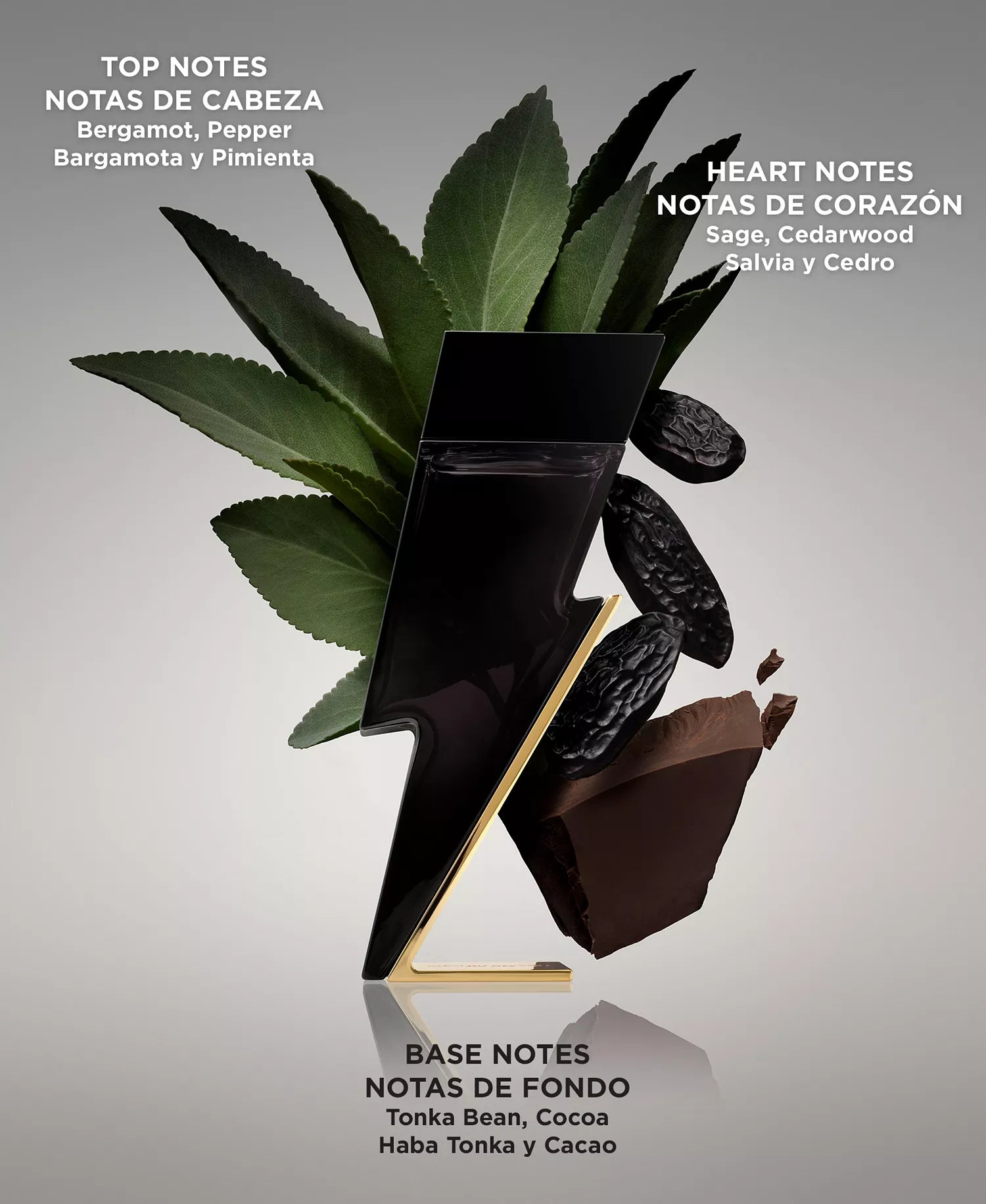 Black perfume bottle with leaves and chocolate pieces on a gray background