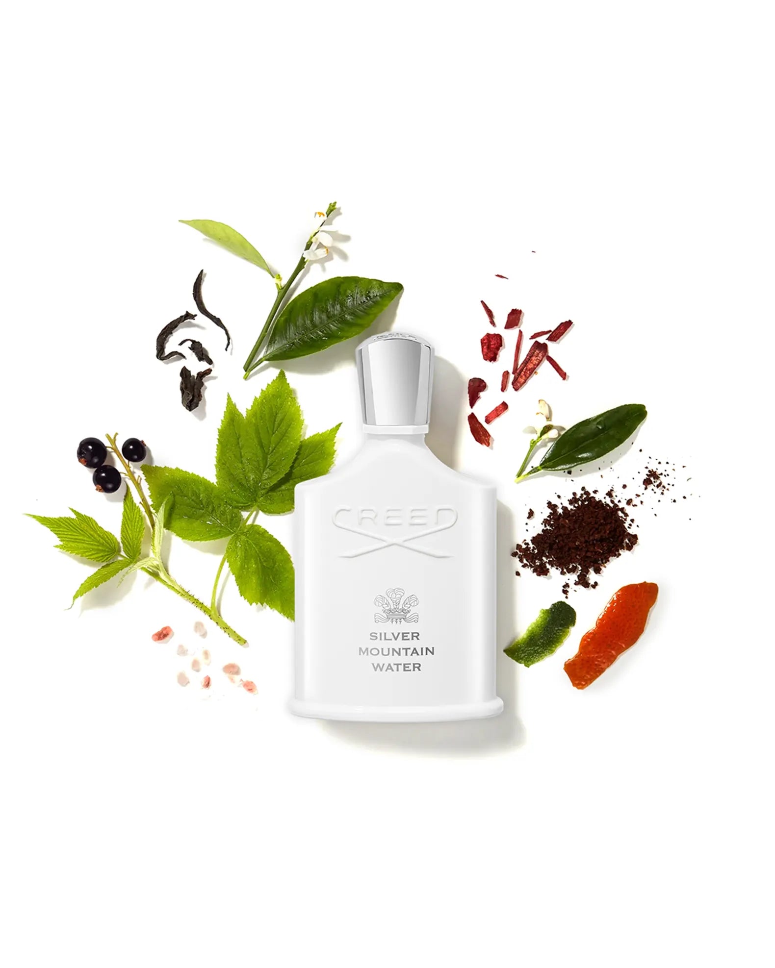 White bottle labeled 'Silver Mountain Water' surrounded by green leaves and dried herbs on a white background