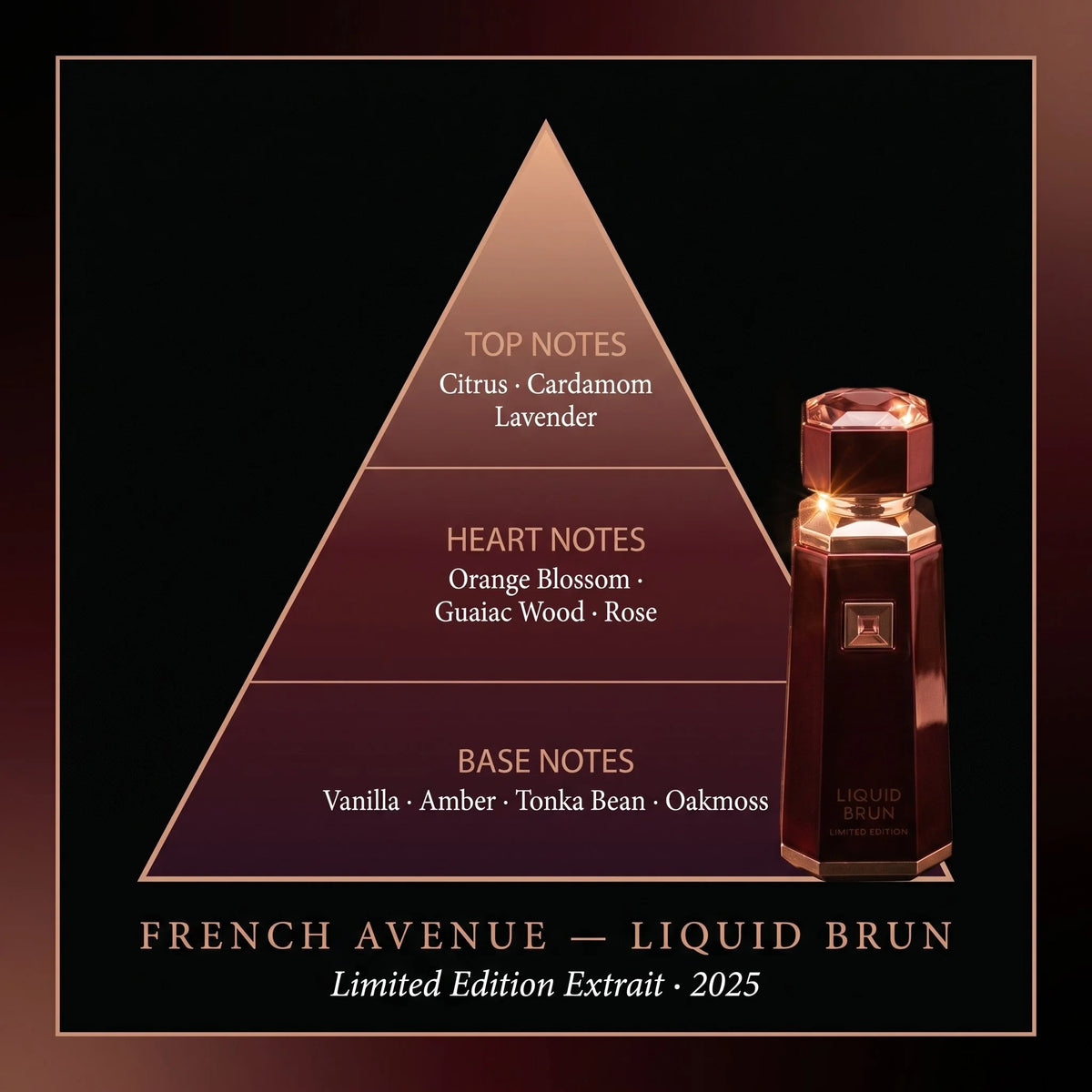 French Avenue Liquid Brun Limited Edition fragrance note pyramid cardamom lavender orange blossom rose vanilla amber tonka oakmoss on dark burgundy background