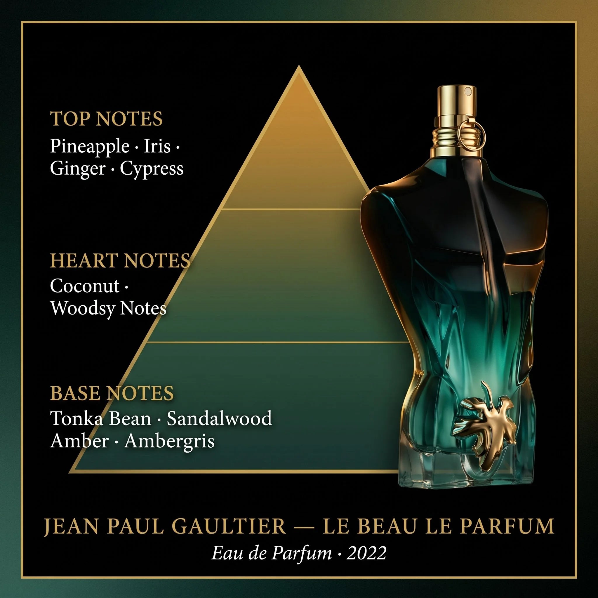 Jean Paul Gaultier Le Beau Le Parfum fragrance note pyramid pineapple coconut tonka bean sandalwood amber on dark forest green background