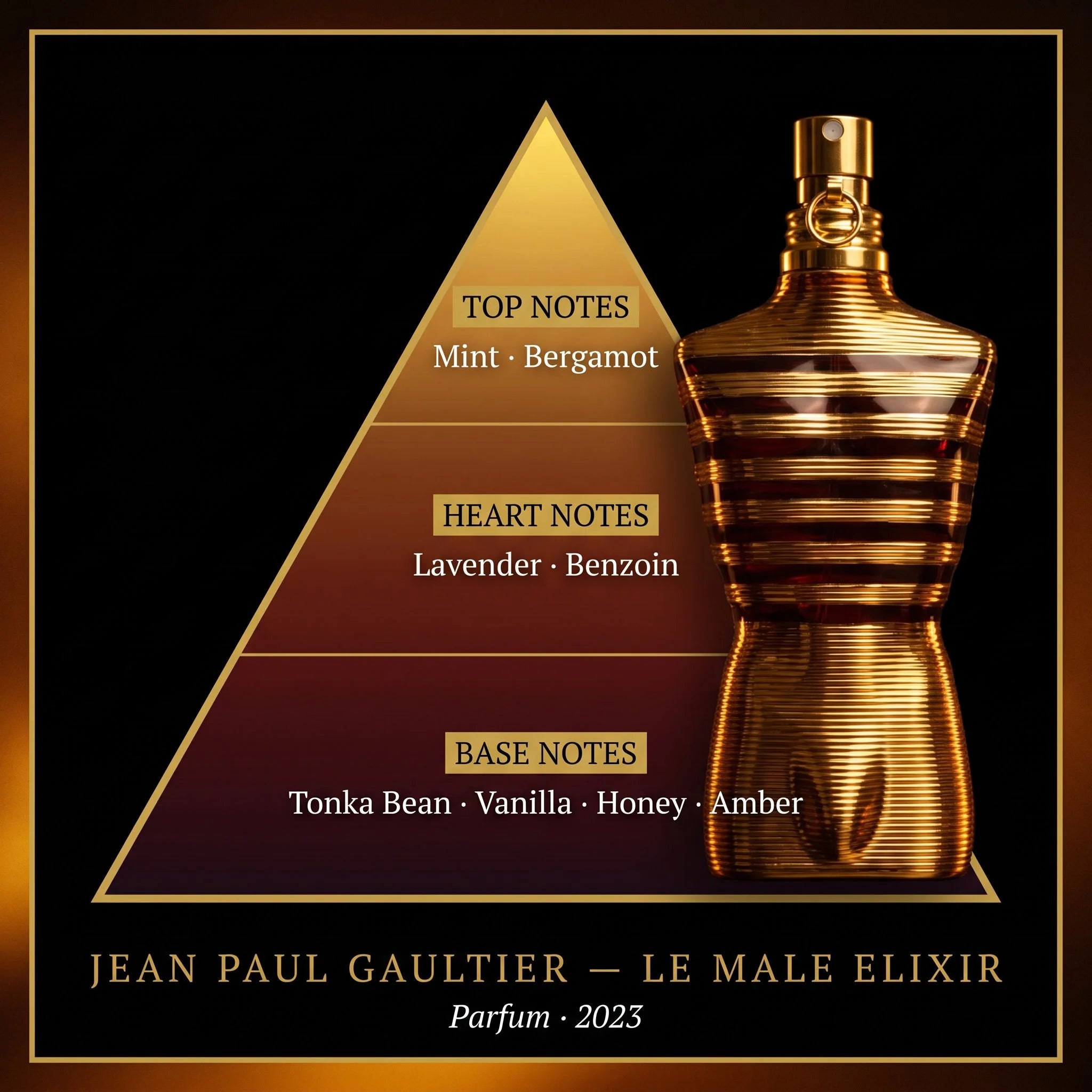 Jean Paul Gaultier Le Male Elixir fragrance note pyramid mint lavender benzoin tonka bean vanilla amber on dark gold background
