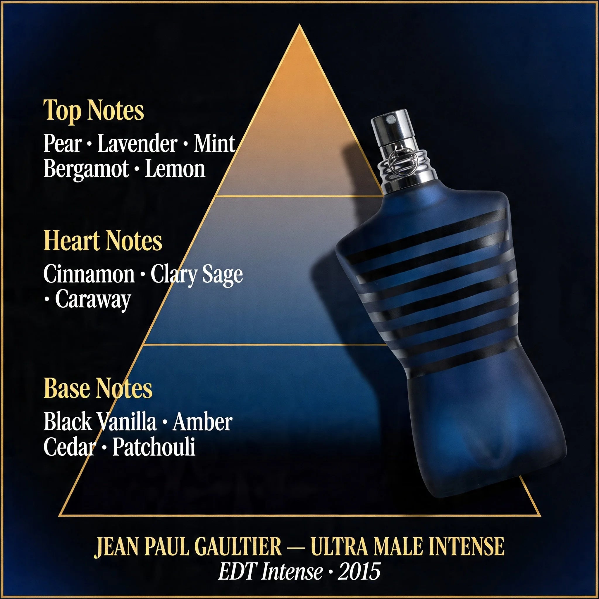Jean Paul Gaultier Ultra Male Intense fragrance note pyramid pear lavender cinnamon black vanilla amber patchouli on dark navy background