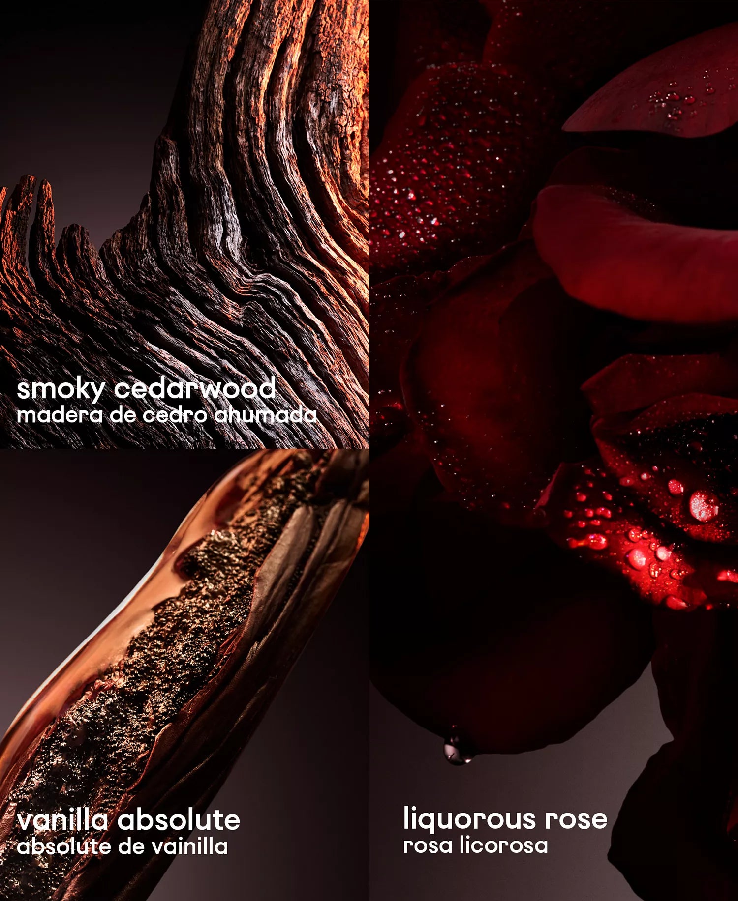 Close-up of smoky cedarwood and liquorous rose with text labels on a dark background