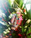 Very Sexy Now (2017) EDP Spray 3.4 oz by Victoria's Secret