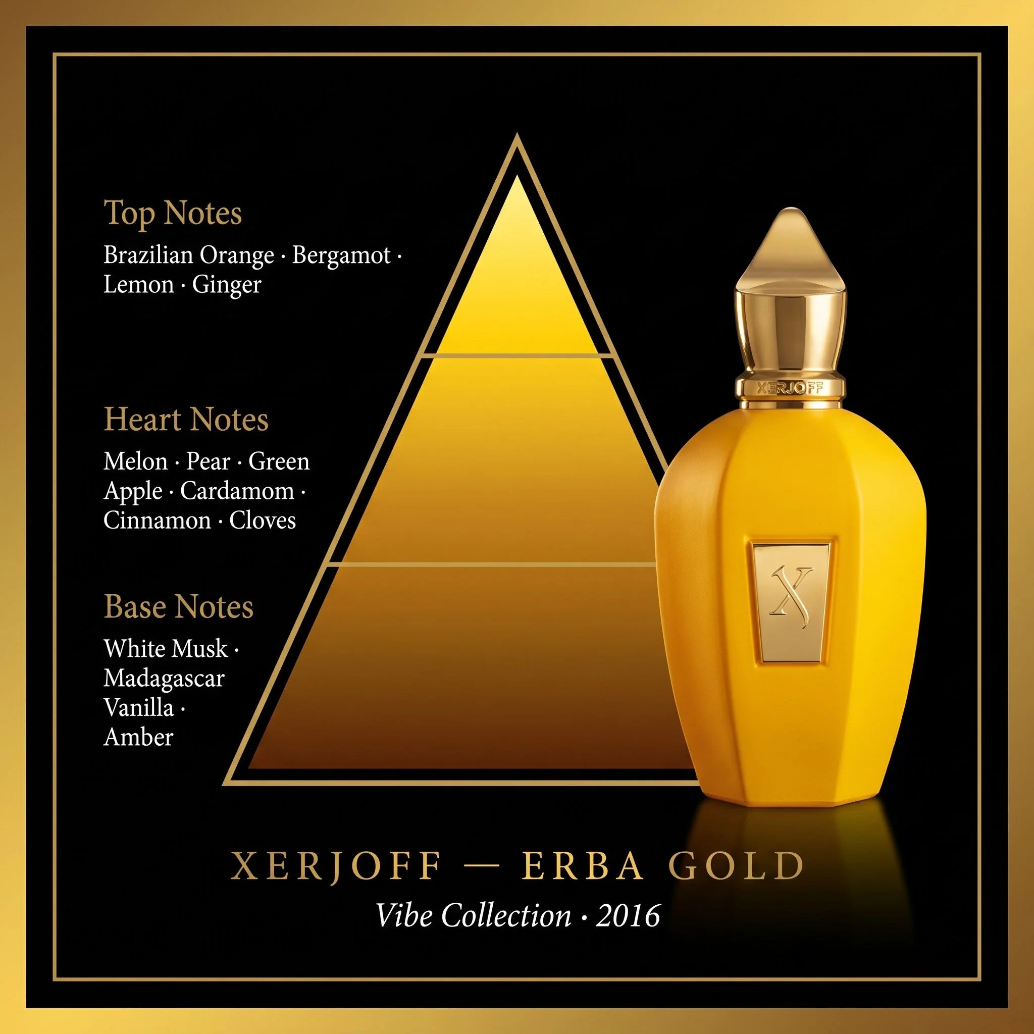 Xerjoff Erba Gold fragrance note pyramid Brazilian orange bergamot melon cardamom vanilla amber on dark golden background