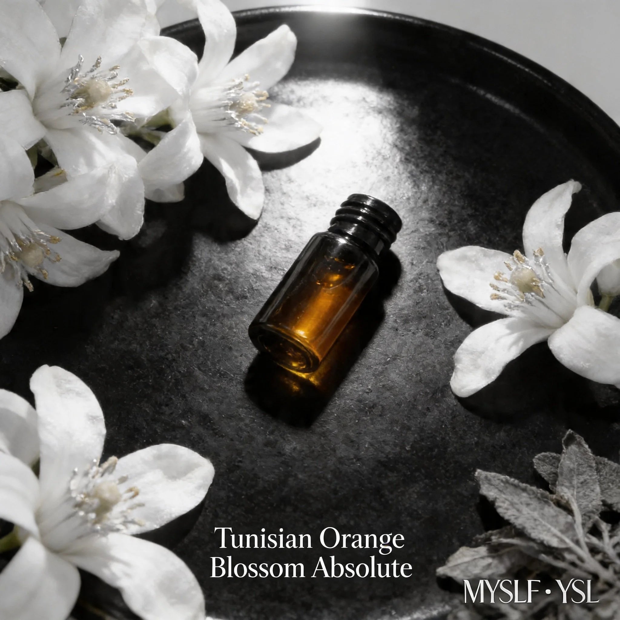 Brown essential oil bottle with 'Tunisian Orange Blossom Absolute' text surrounded by white flowers on a dark surface.