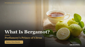 Bergamot citrus — perfumery's prince of citrus top note, Aromatick guide