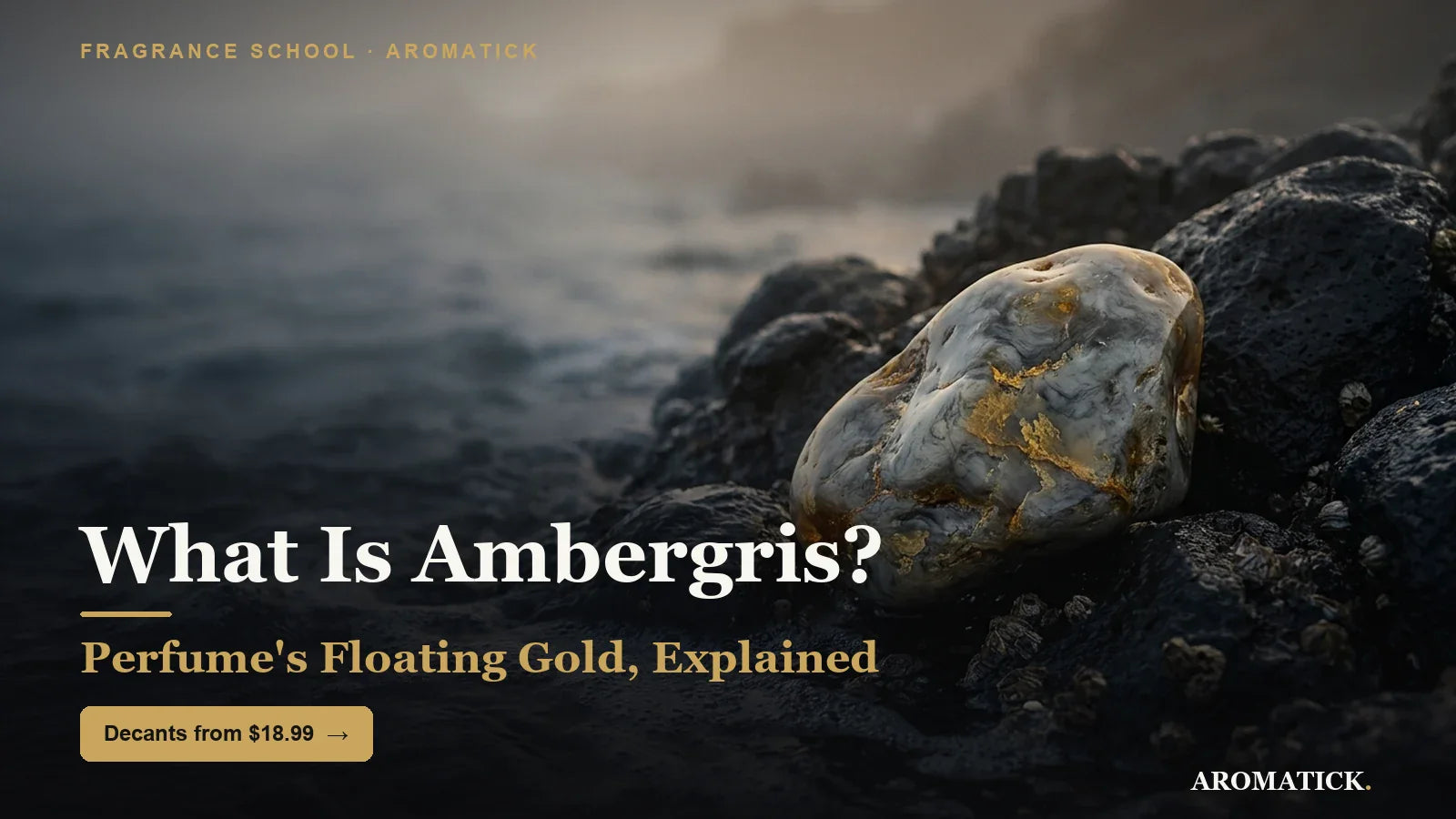 What is ambergris - perfume floating gold explained 2026, Aromatick