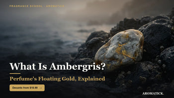 What is ambergris - perfume floating gold explained 2026, Aromatick