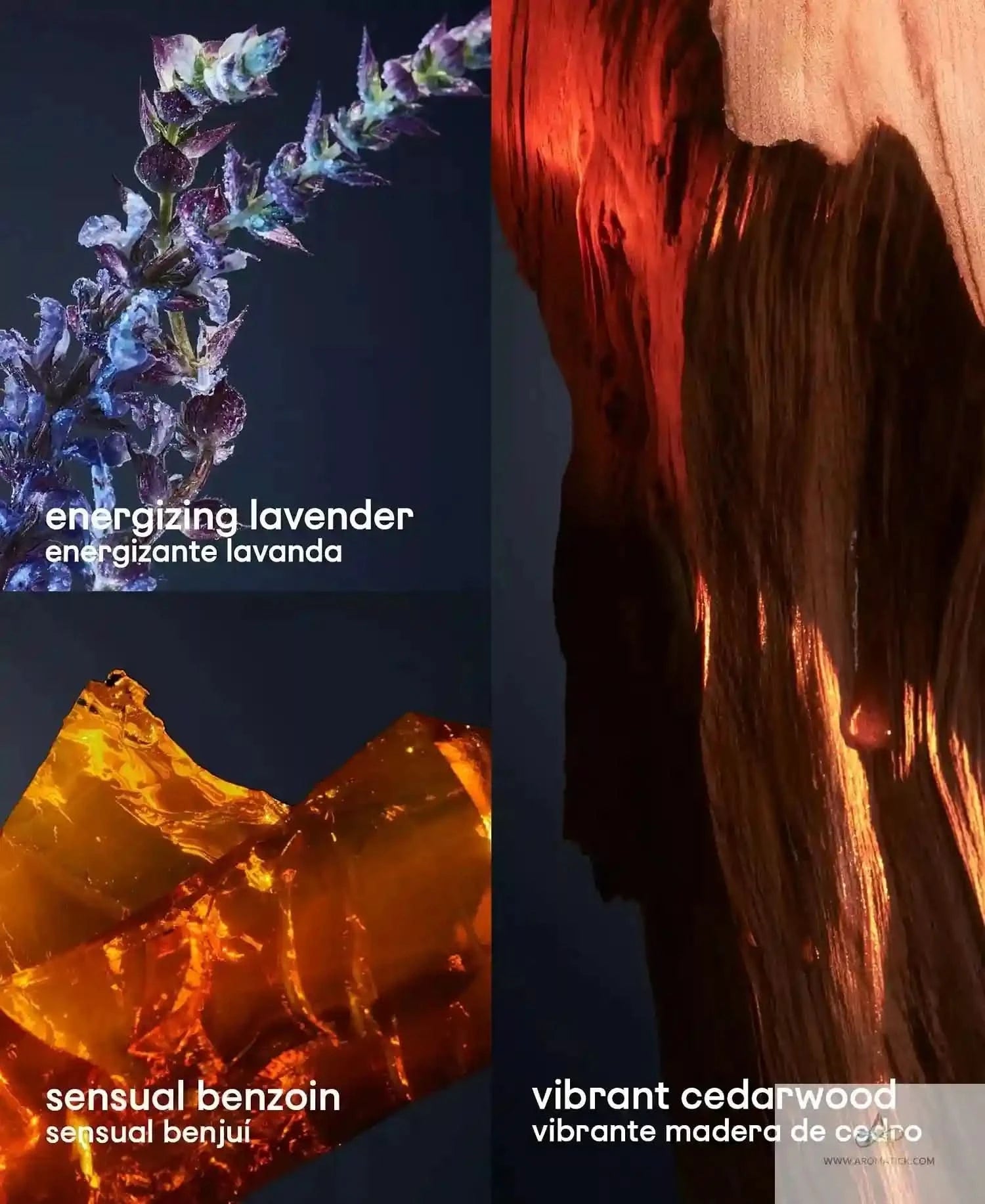 1 Million Royal Paco Rabanne