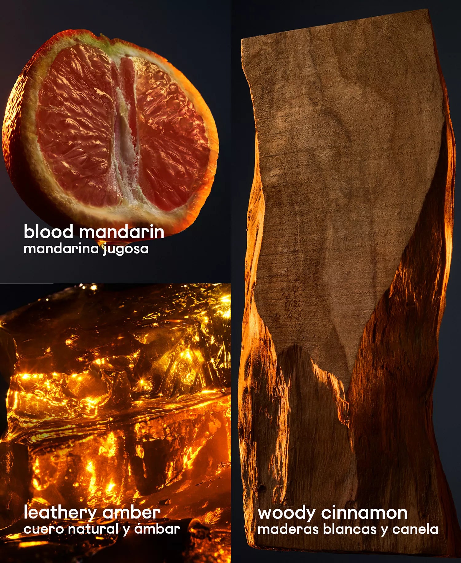 Collage of blood mandarin, leathery amber, and woody cinnamon with corresponding textures and names.