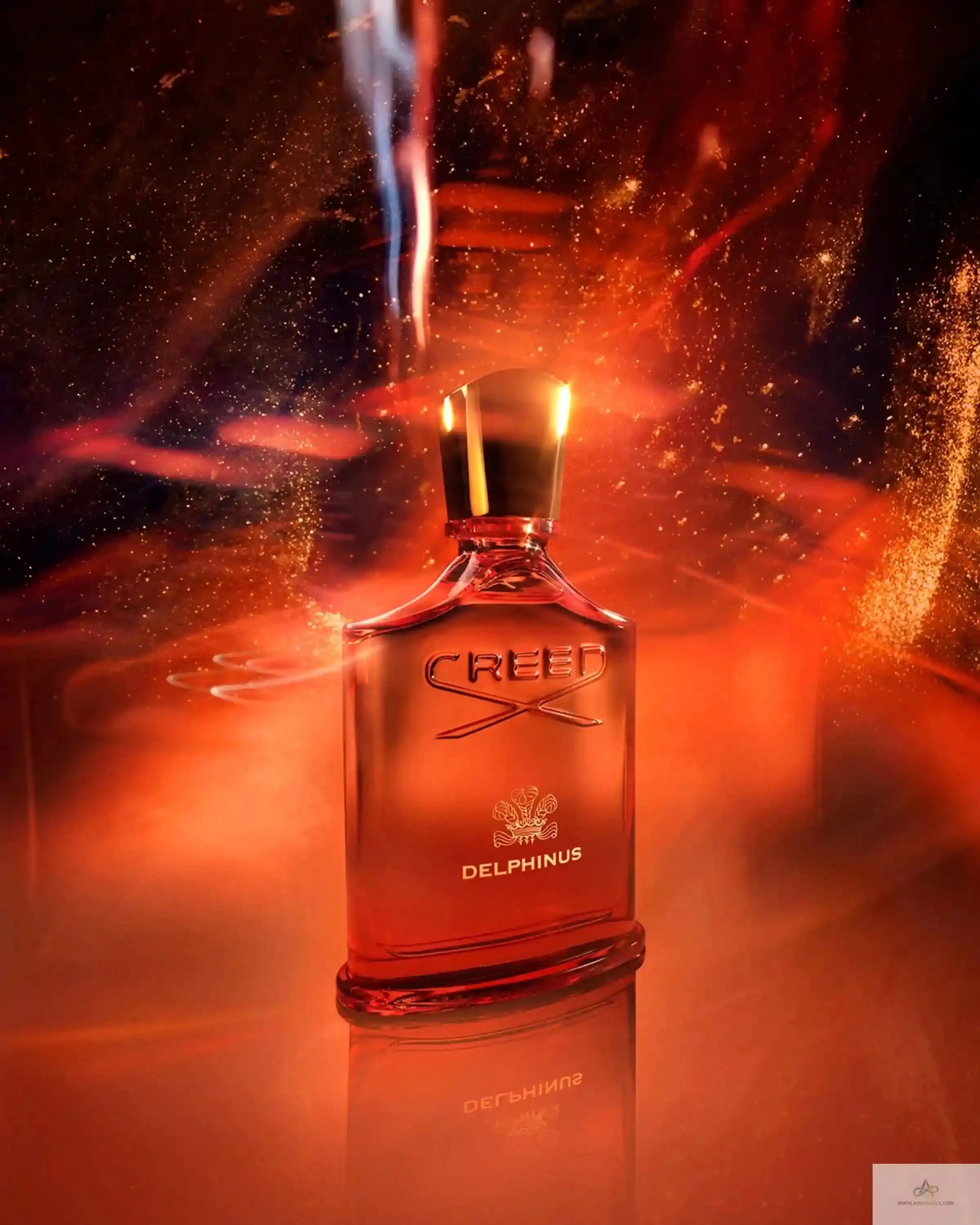 creed delphinus bottle