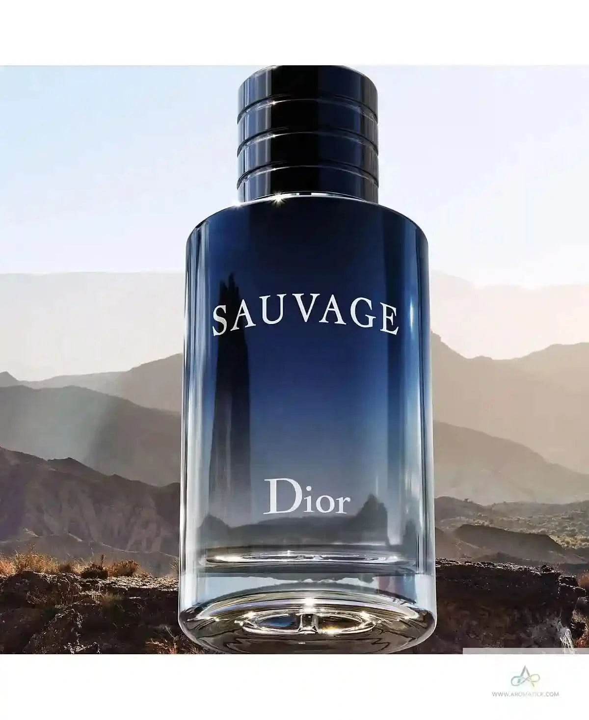 Dior Sauvage EDT - Aromatick