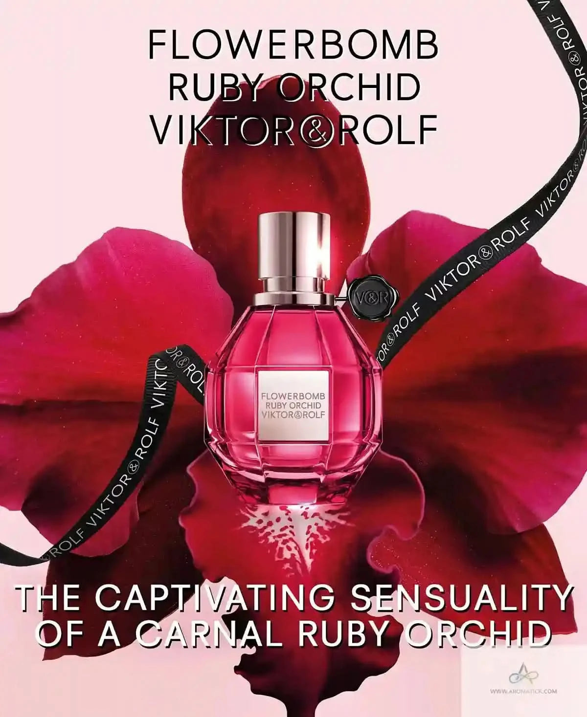 Viktor & Rolf Flowerbomb Ruby Orchid perfume bottle surrounded by red flowers on a pink background