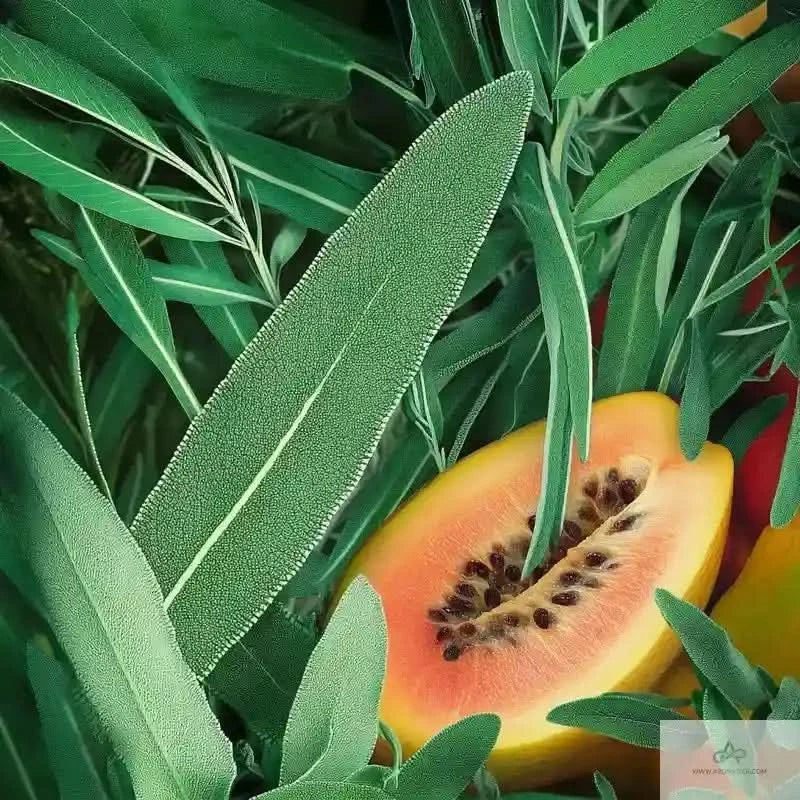 Fragrance notes of HOS N.004 EDP shown with fresh green herbs and ripe papaya, highlighting its aromatic and spicy profile.