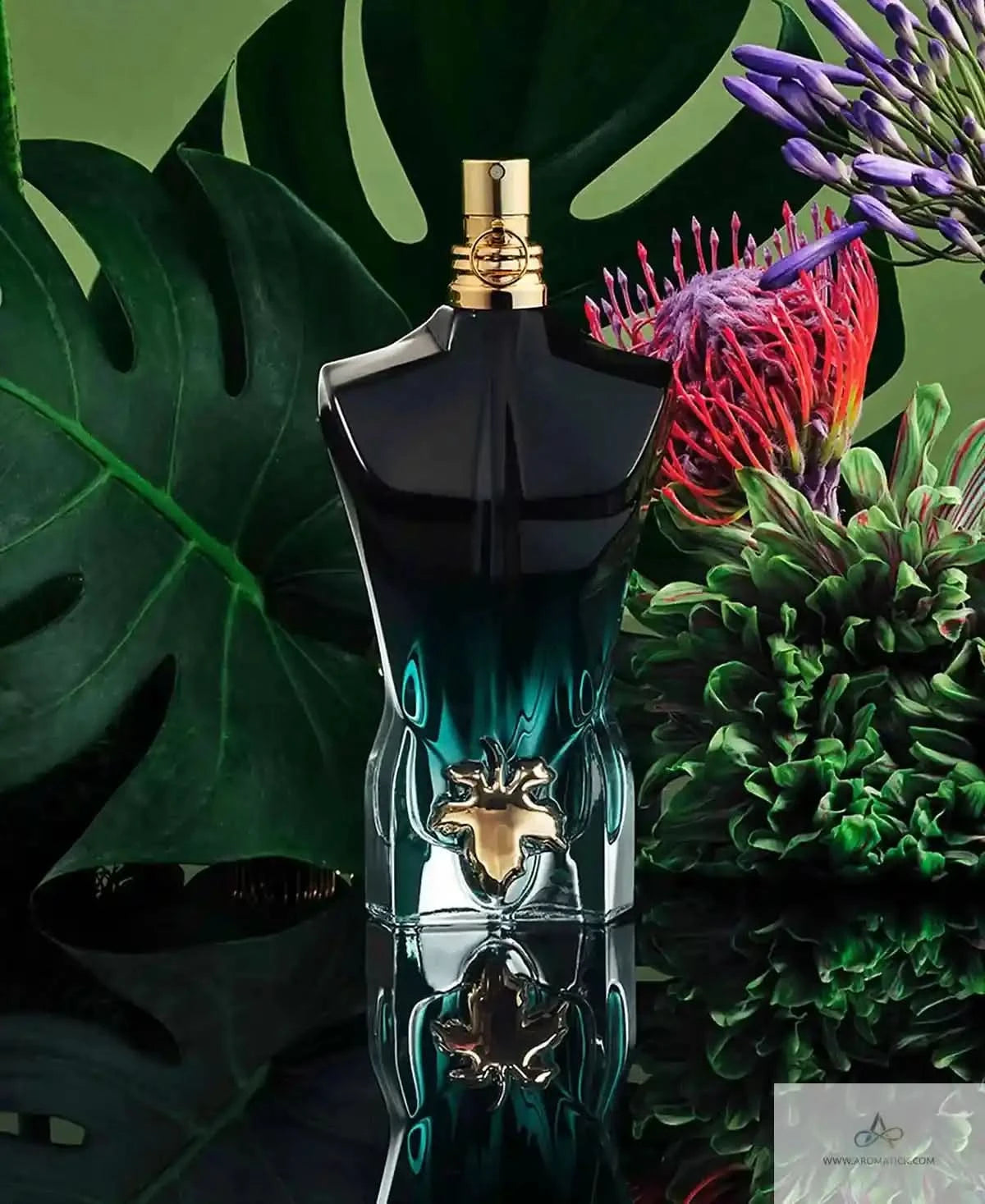 Le Beau Le Parfum - Aromatick men's fragrance bottle displayed among lush tropical plants, emphasizing its exotic scent profile.