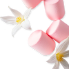 PDM Oriana EDP | Mandarin, Marshmallow & Whipped Cream