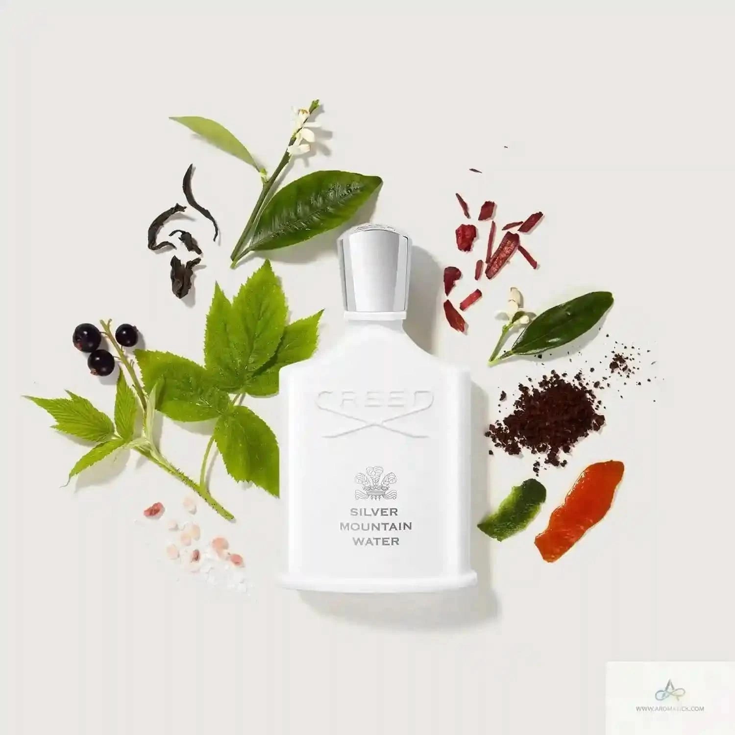 Creed Silver Mountain Water EDP  | Unisex Perfume - Aromatick