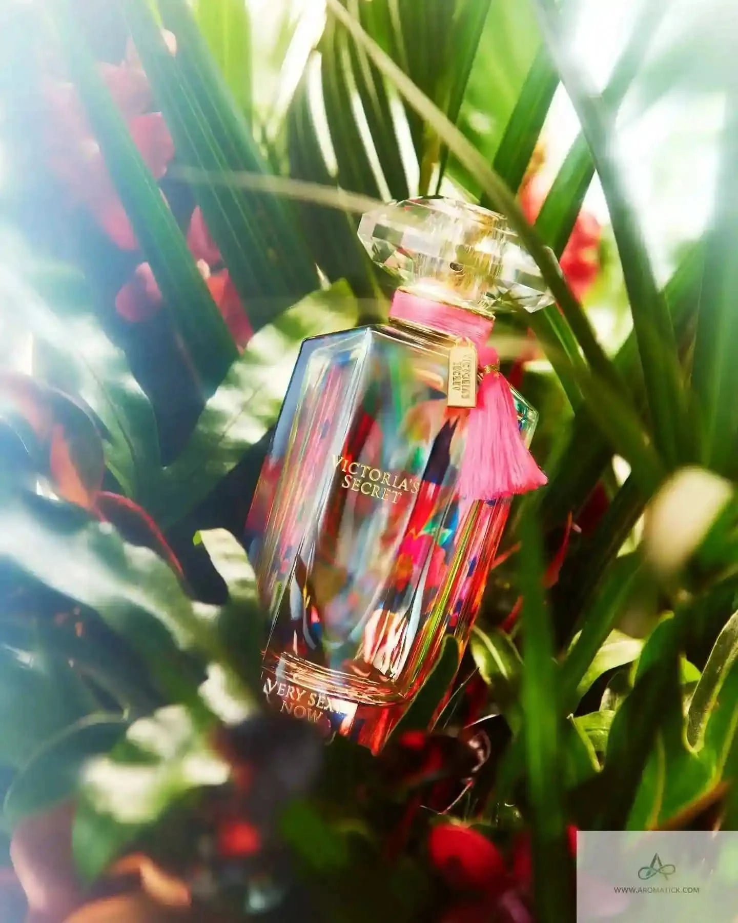 Very Sexy Now (2017) - Aromatick