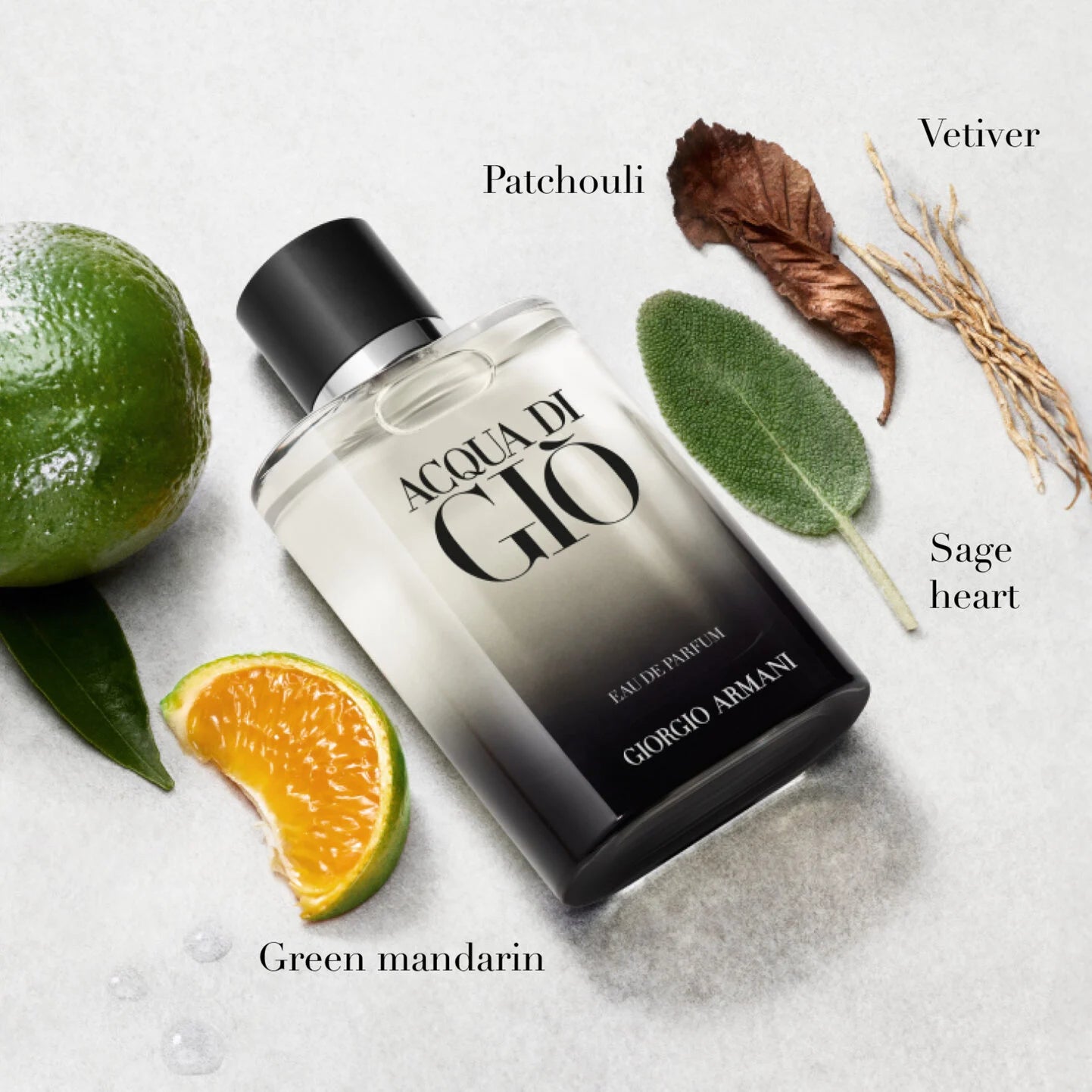 Giorgio Armani Acqua di Gio perfume bottle with botanical elements on a light background