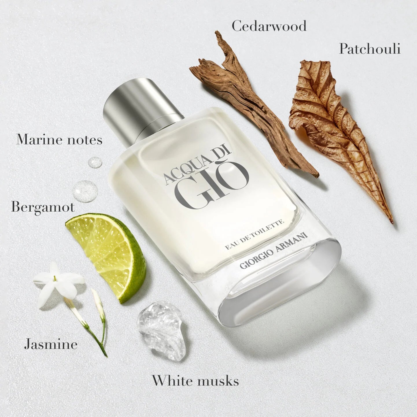 Giorgio Armani Acqua di Gio perfume bottle with botanical elements on a light background