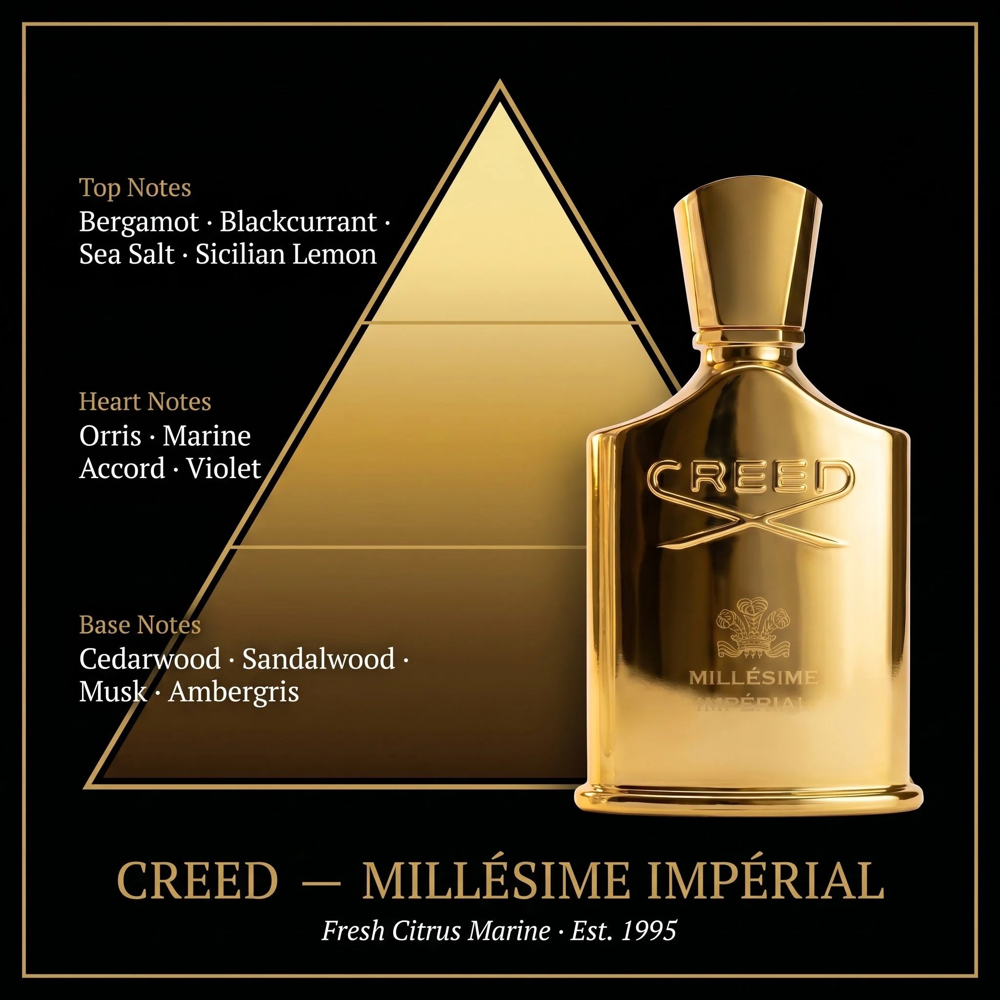 Creed Millesime Imperial fragrance note pyramid showing bergamot sea salt orris marine accord and ambergris on black gold background