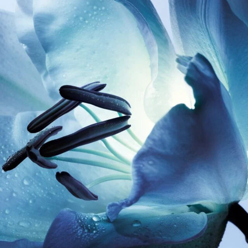 Artistic depiction of a futuristic spacecraft navigating through icy tunnels.