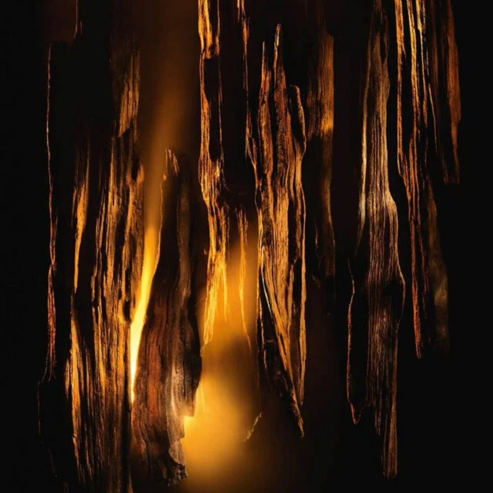 Close-up of cave formations with a warm glow in a dark setting