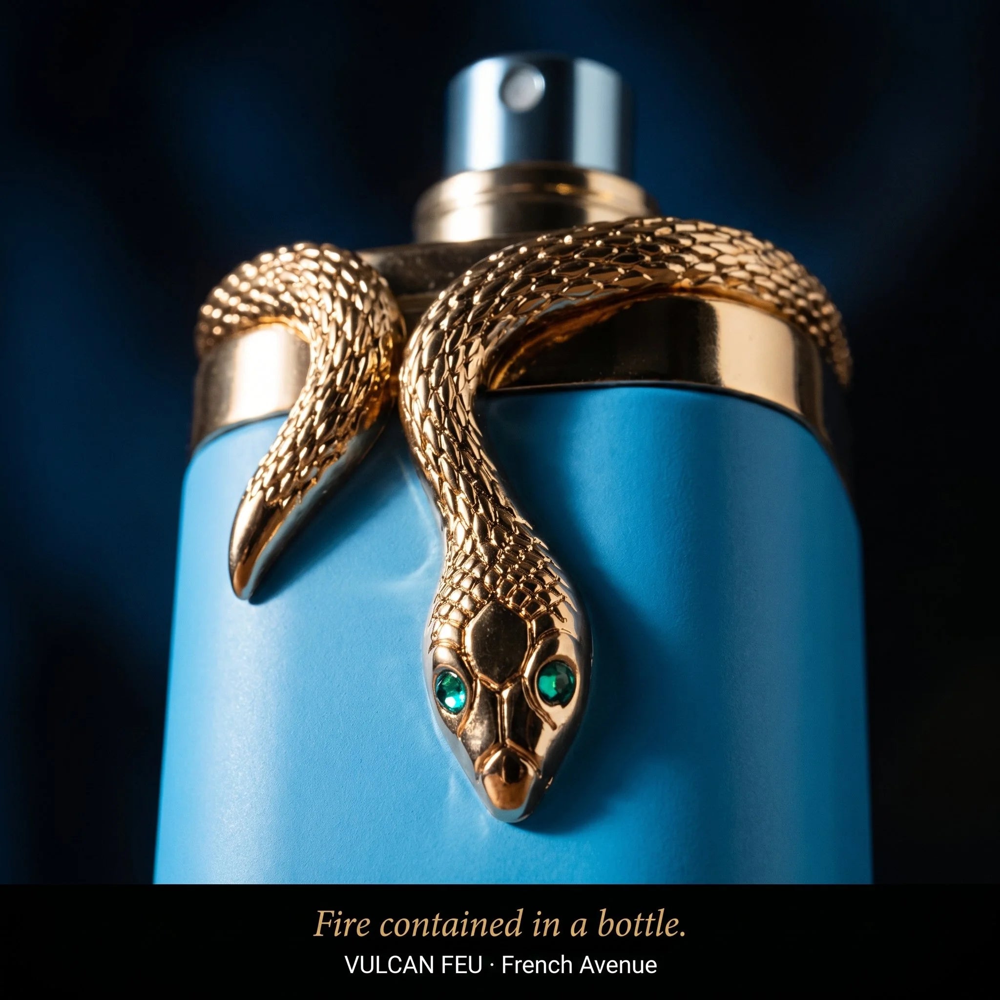 Blue perfume bottle with gold snake design on a dark background