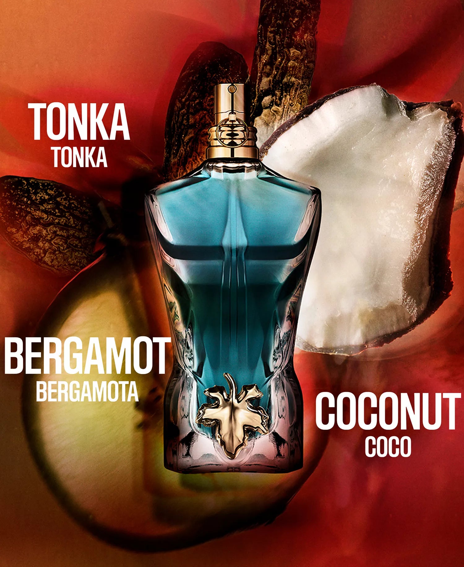 Perfume bottle with 'Tonka', 'Bergamot', and 'Coconut' text on a colorful background