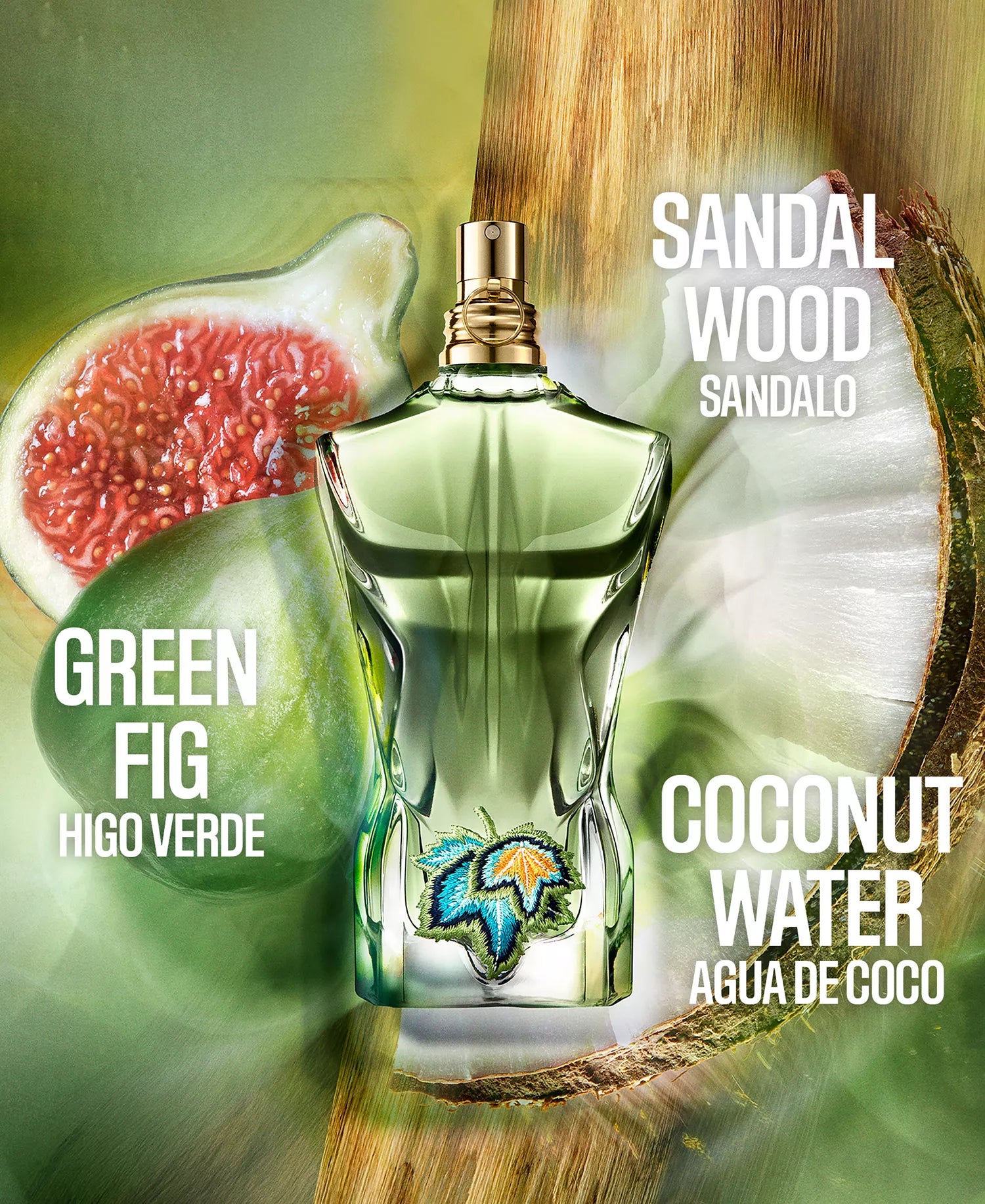 Jean Paul Gaultier Le Beau Paradise Garden fragrance notes featuring green fig, coconut water, and sandalwood with raw ingredients display