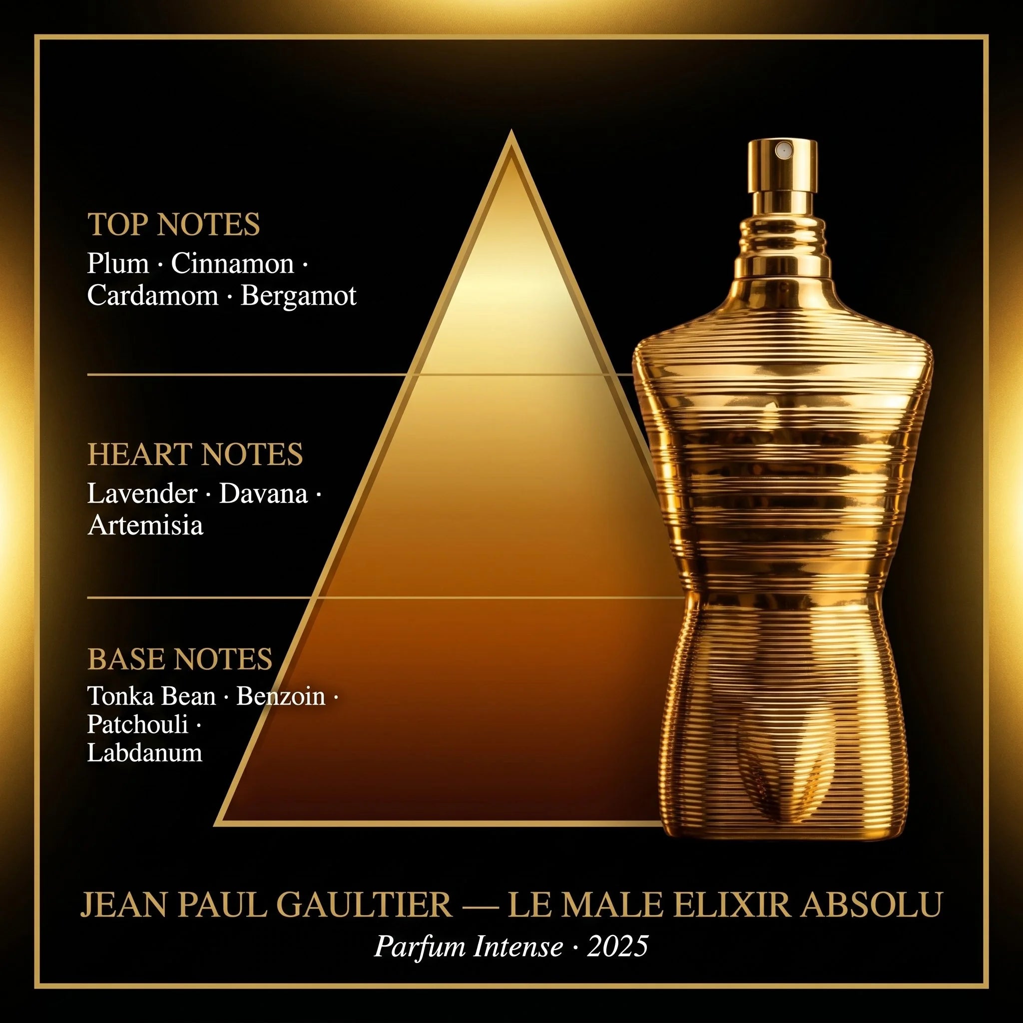 Jean Paul Gaultier Le Male Elixir Absolu fragrance note pyramid plum lavender tonka bean benzoin patchouli on dark gold background