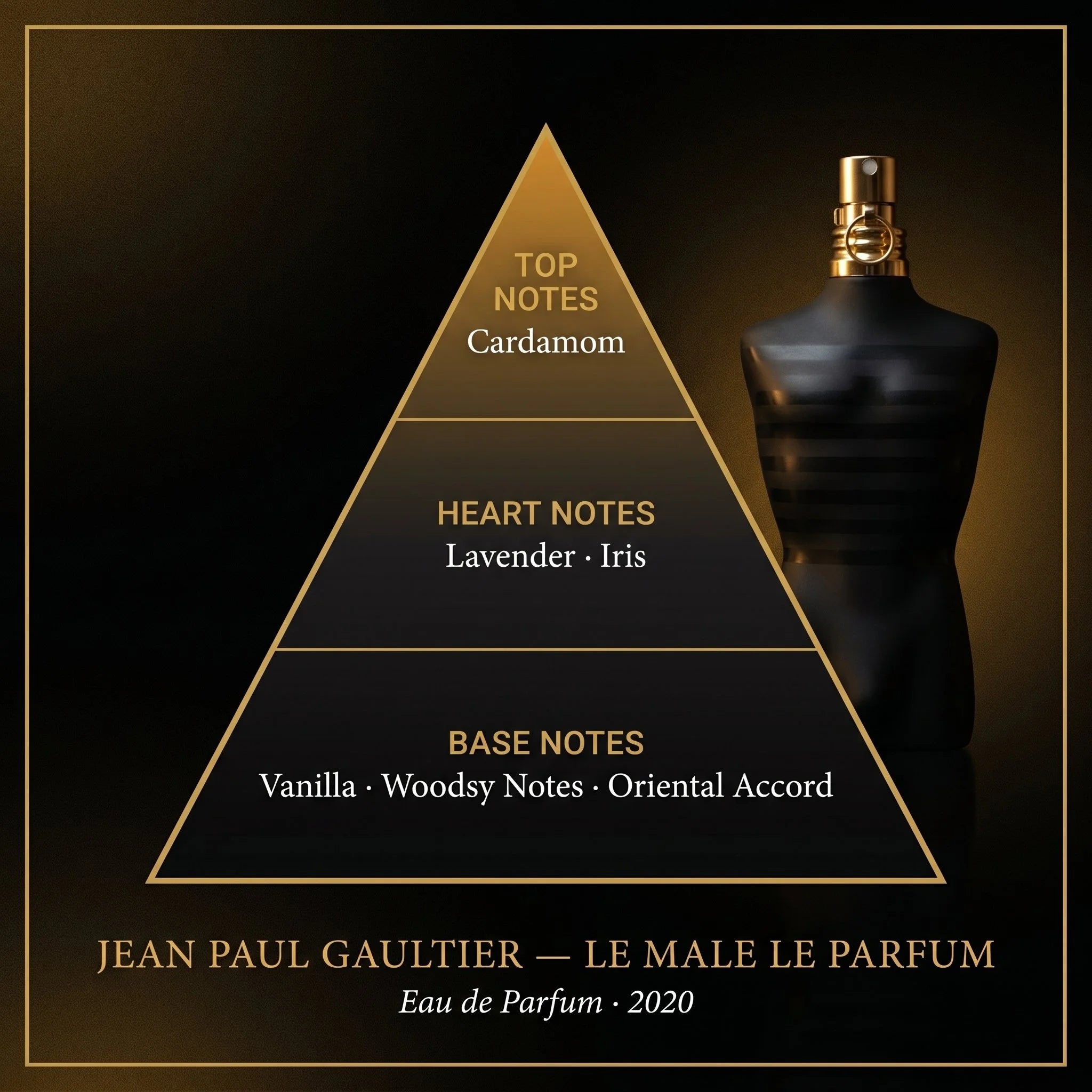 Jean Paul Gaultier Le Male Le Parfum fragrance note pyramid cardamom lavender iris vanilla on dark black gold background
