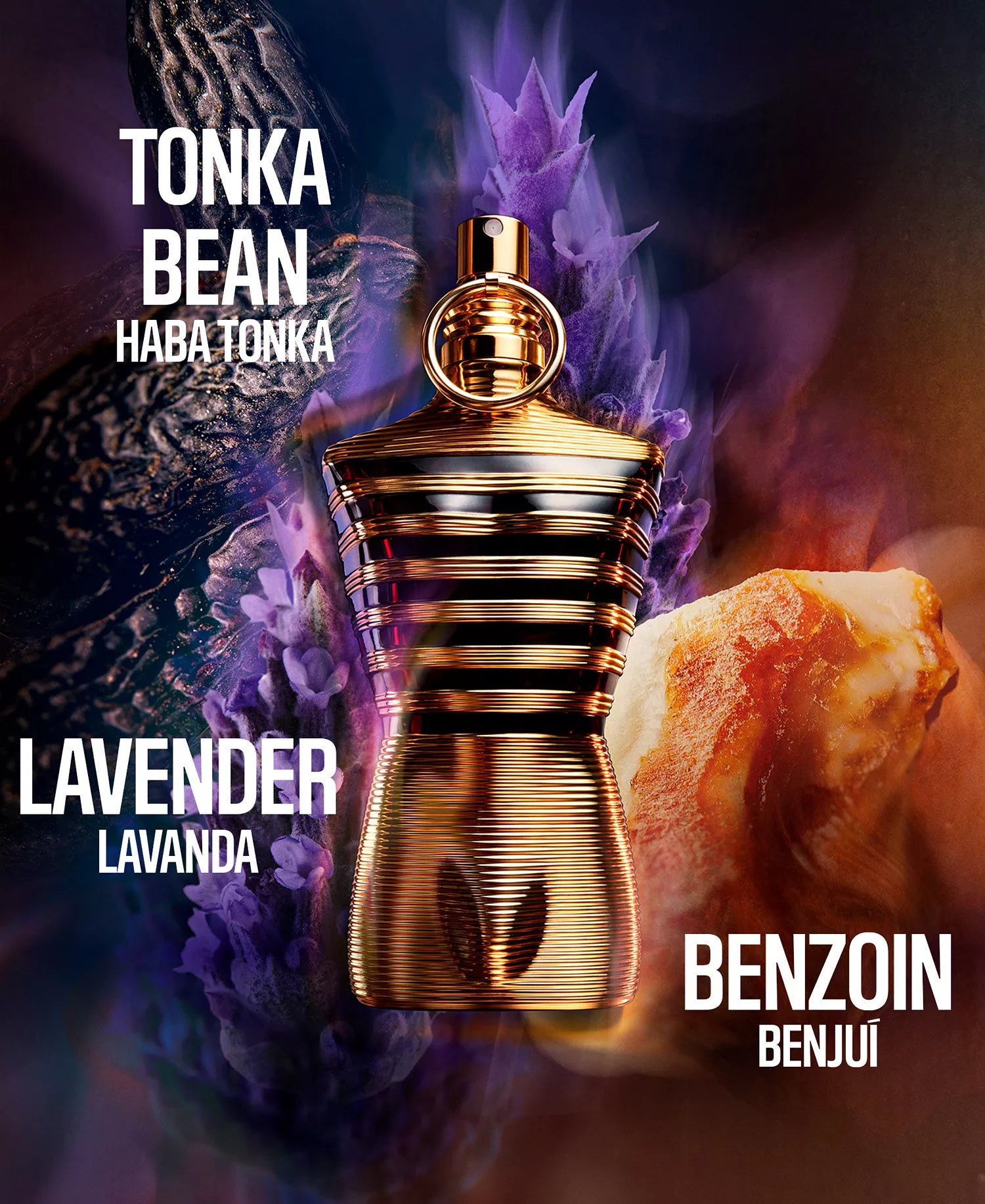 Jean Paul Gaultier Le Male Elixir fragrance notes featuring tonka bean, lavender, and benzoin in gold torso bottle