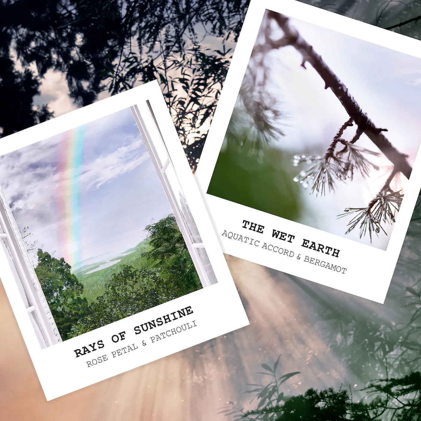 Two product cards with nature-themed designs and text on a blurred natural background.