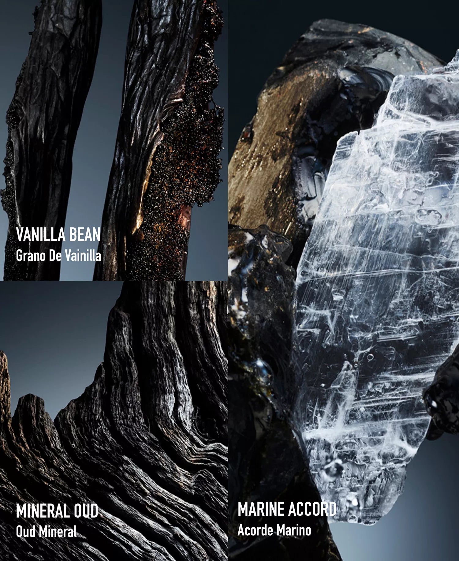 Collage of different textures and elements labeled 'Vanilla Bean', 'Mineral Oud', and 'Marine Accord'.