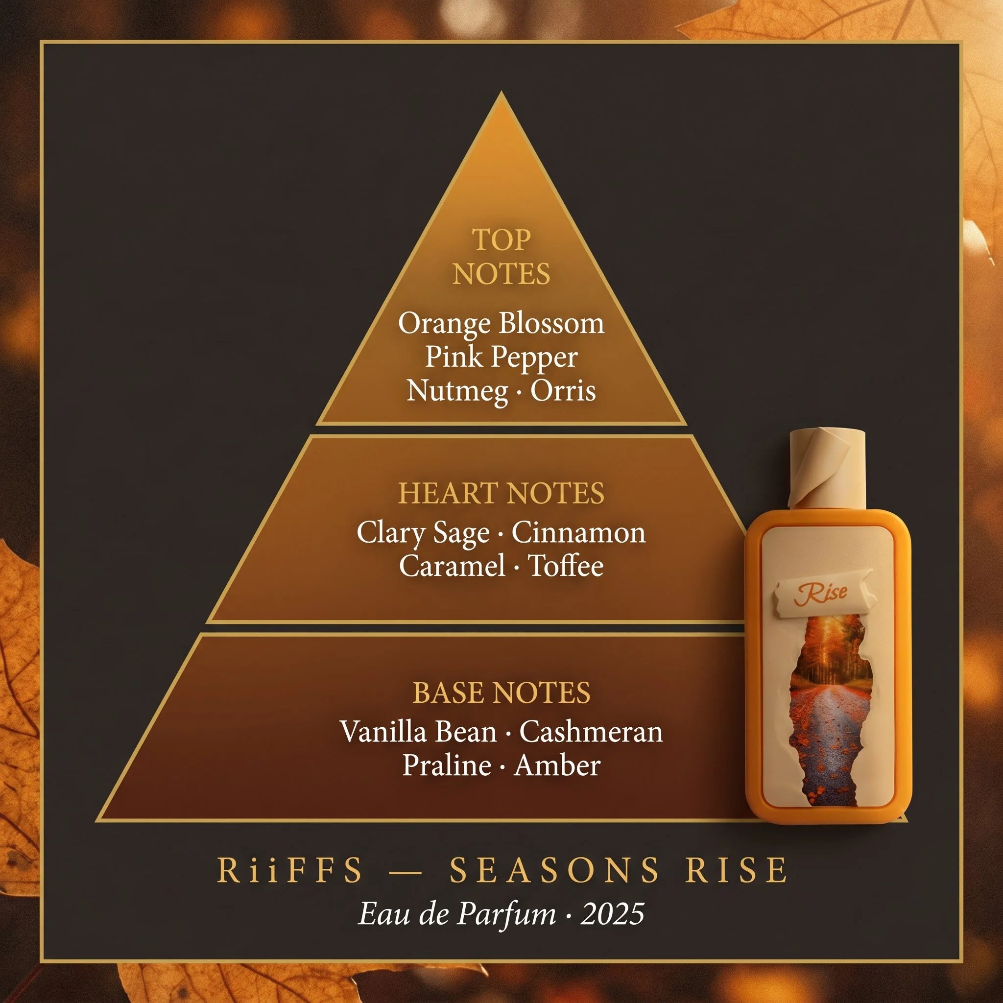 RiiFFS Seasons Rise EDP fragrance pyramid — orange blossom, cinnamon, caramel, vanilla bean, amber